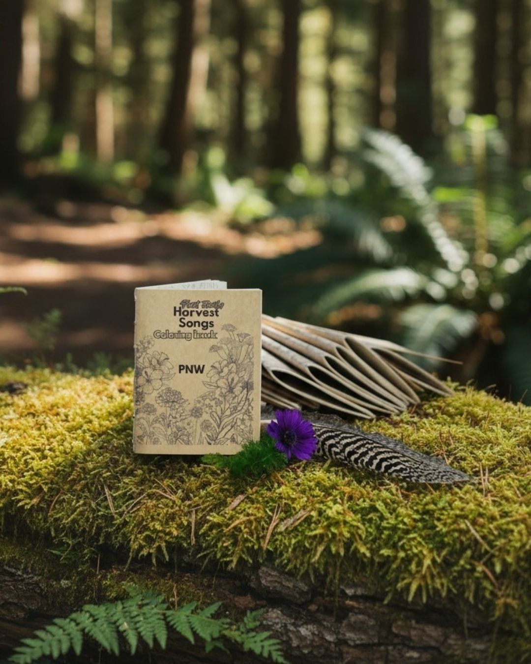 Plant Song Books & Videos